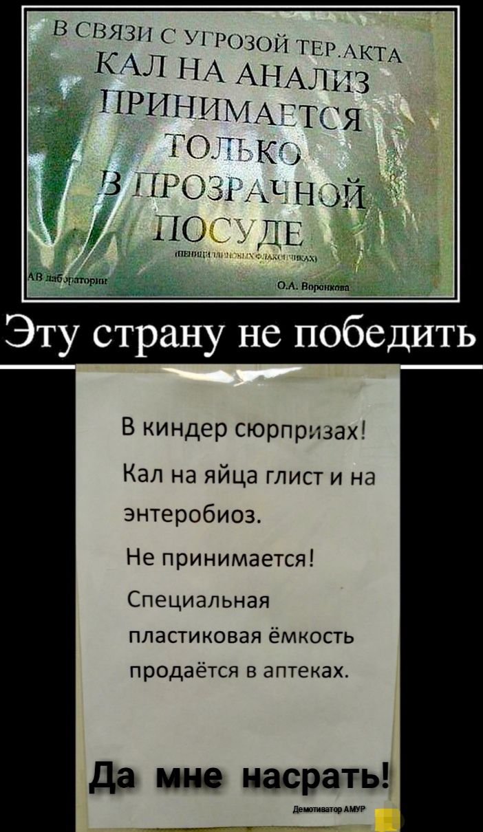 В СВЯЗИ С УГРОЗОЙ ТЕРАКТА КАЛ НА АНАЛИ ПРИНИМАЁТСЯ ТОЁЁ КГ в прозаик пай ПО ЁЁ ДЕ пишит ш см Пишим п Эту страну не победить В киндер сюрпризах Кал на яйца глист и на энтеробиоз Не принимается Специальная пластиковая ёмкость продаётся В аптеках да ино насрать шышщ пм _ ___гп