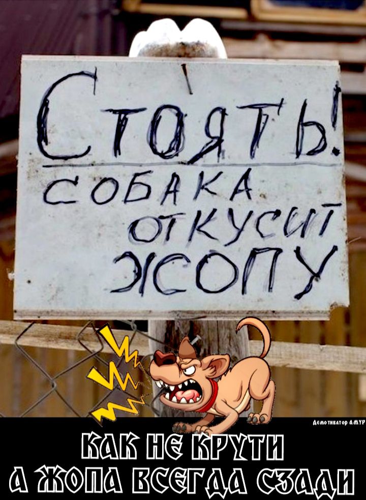 ЖСФШЮХБ НСЁПМ ЩШ