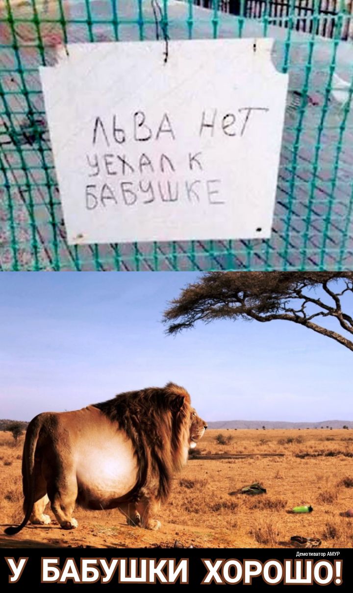 __ ЁЁЫЁнтцчждё
