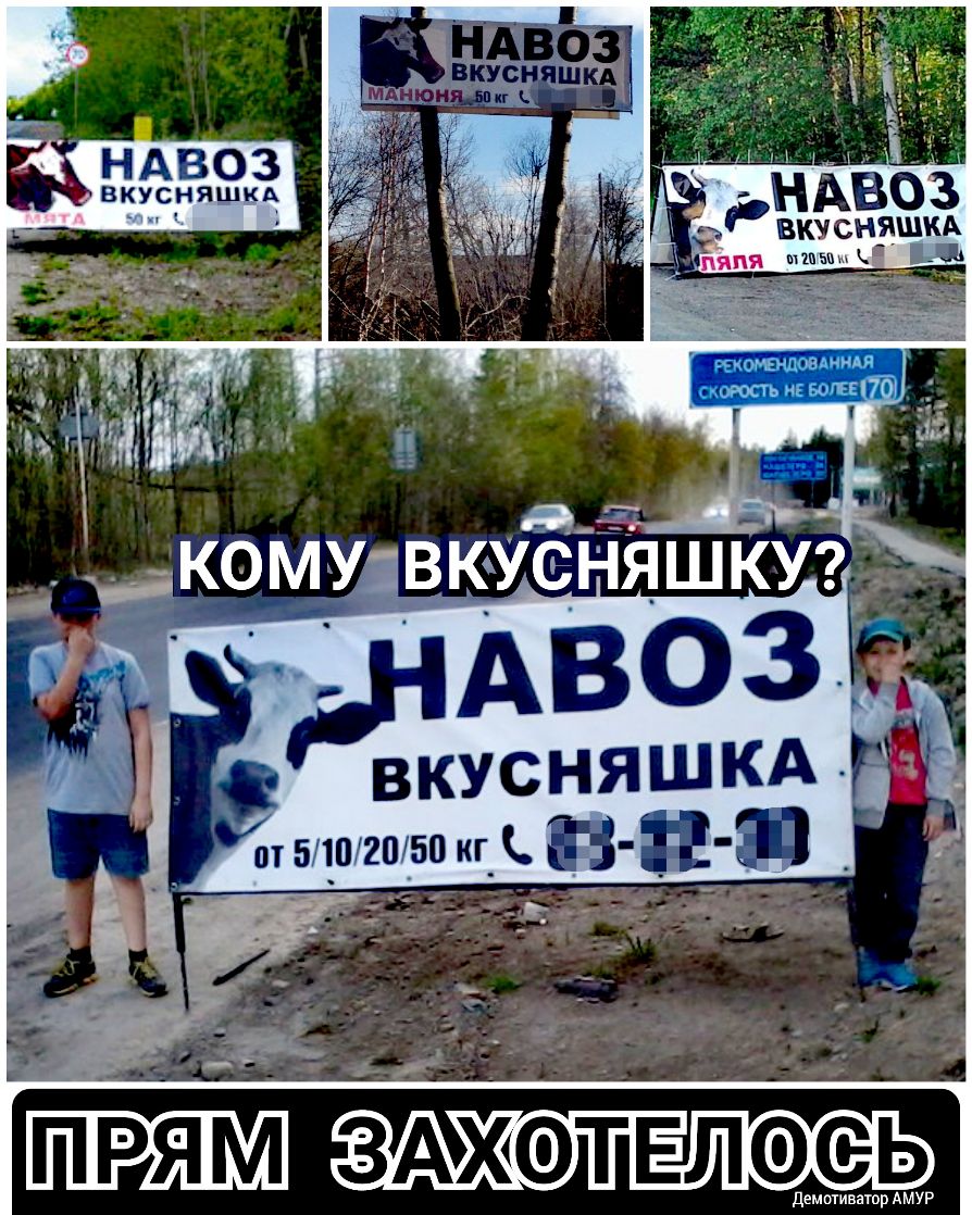 393 НАвоз вку сняшшх кусняшм ЗАХФТЕЛФСЬ еееееее тр АМУР