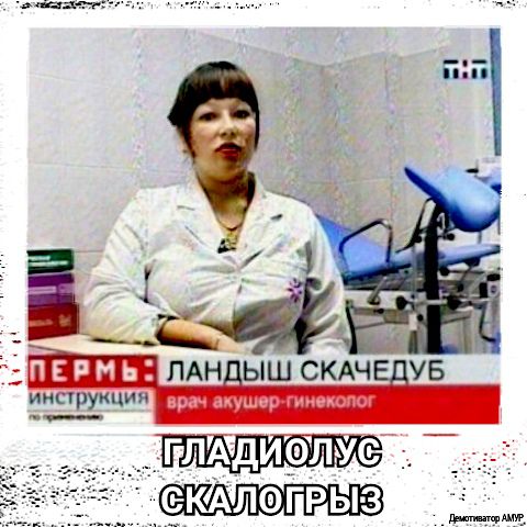 КАЛОГРЫ З __Аглдилус _ ___