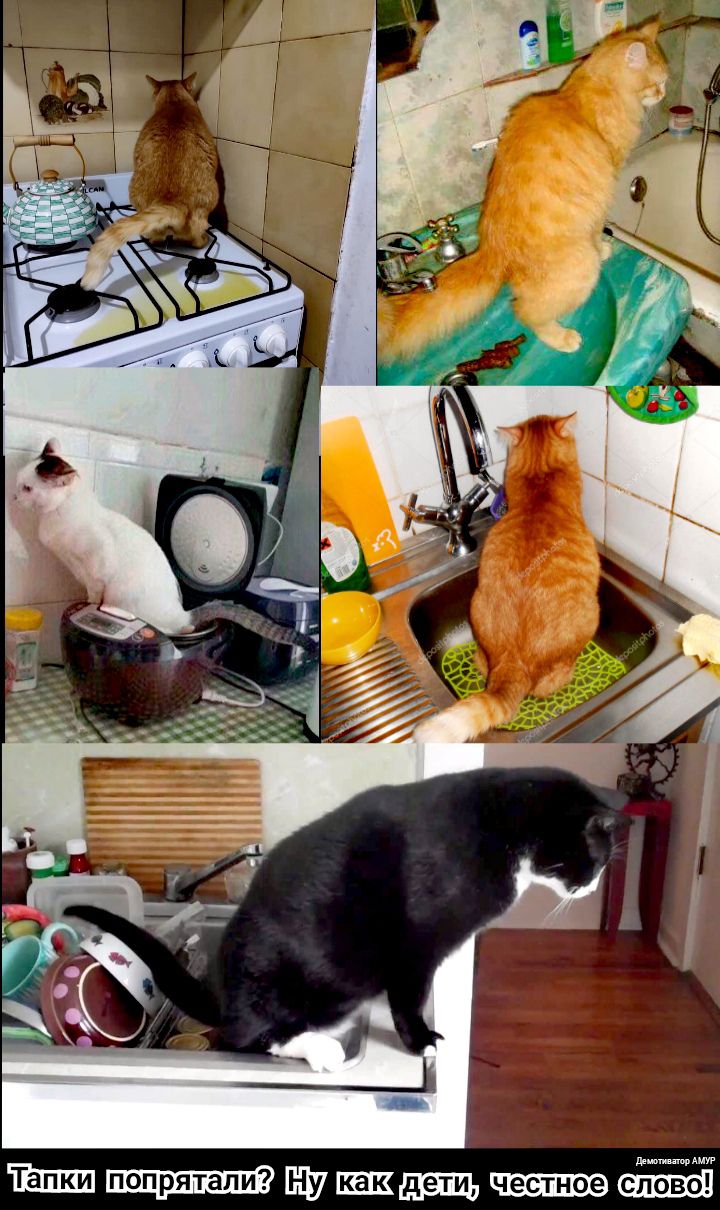 тыщшушдвщчтпюэ