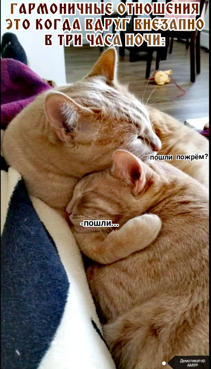 ГАРМОНИЧНЫЁ ОТНОШЕНИЯ