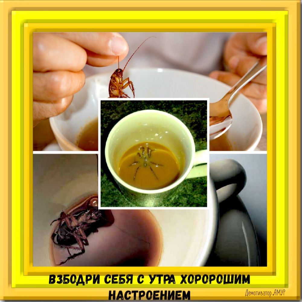 ВЗБОАРИ СЕБЯ с УТРА ХОРОРОШИМ Ъчщм НМ