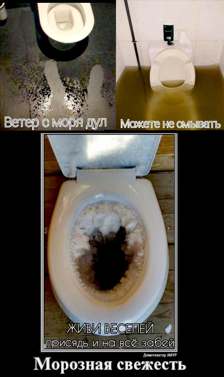 дышишшр АМУР Морозная свежесть