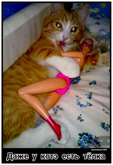 усаквшэйёша