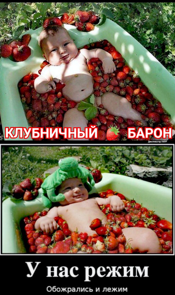 а о _ я в ЖЗ _ У нас режим Обожрались и лежим