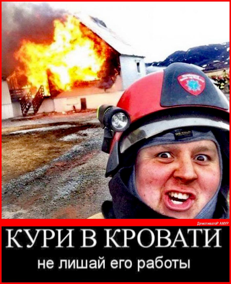 КУРИ В КРОВАТИ не Лишай его Работы