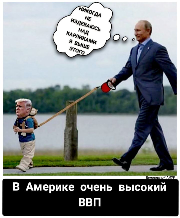 емотинаюР АМУР В Америке очень высокий ВВП