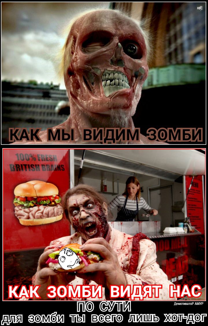 КАК зетац иви_дят ндс П сути
