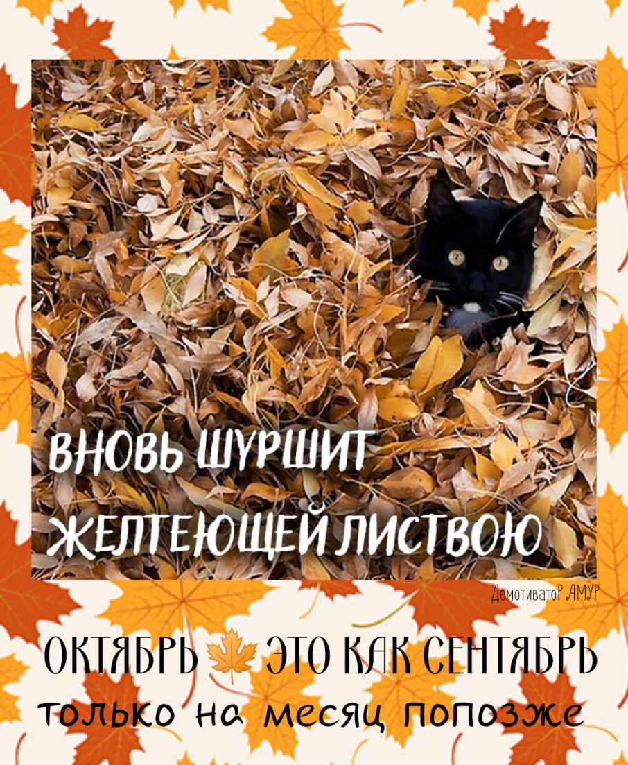 ЛеммиБЕН 37 ОКТЯБРЬ ЭТО КНК СЕНТЯБРЬ ТОЛЬКО НО МССЯЦ ПОПОЗЖС