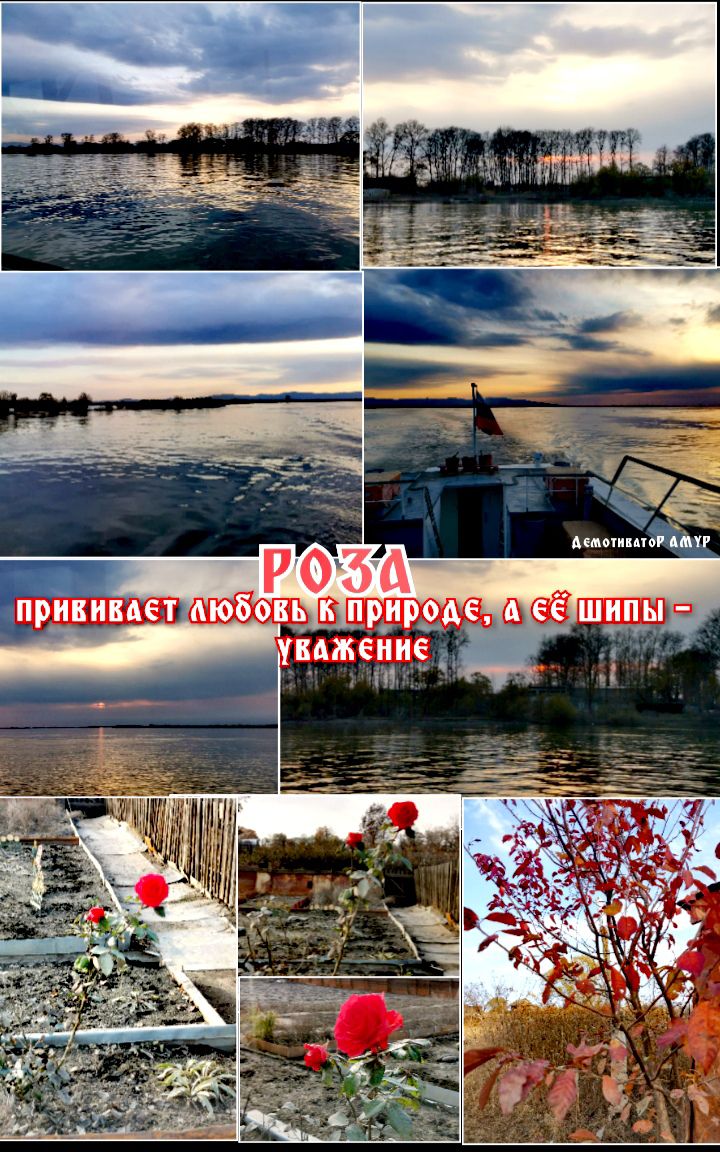 а шжш РОЗА __ дюбовь Ш Мишле шум _ уважениед т _і