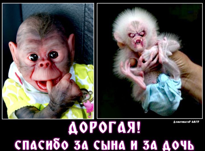 догогдя спдсибо зд сынд и ад дочь