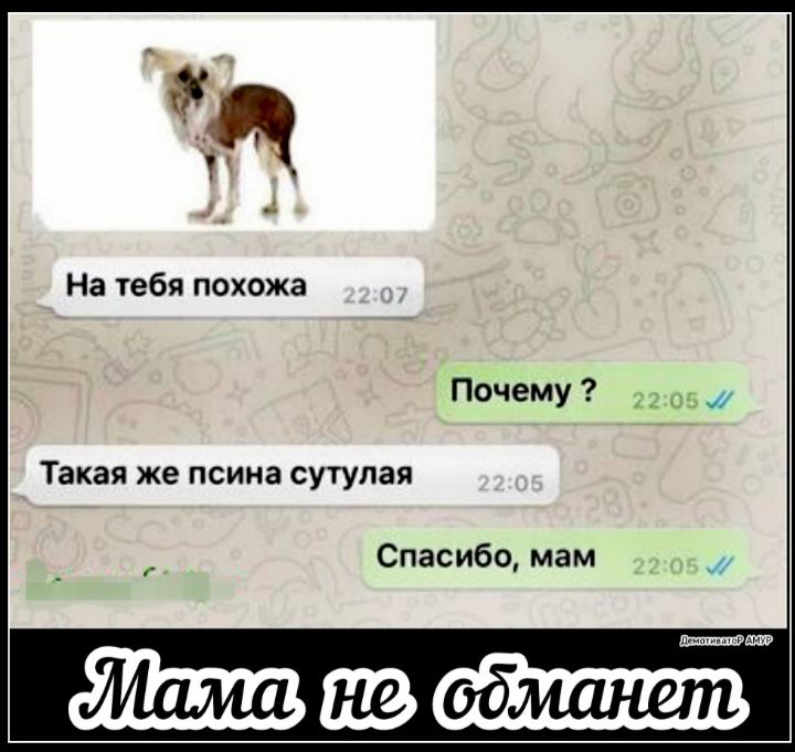 На тебя похожа Такая же псина сутупая Спасибо мам