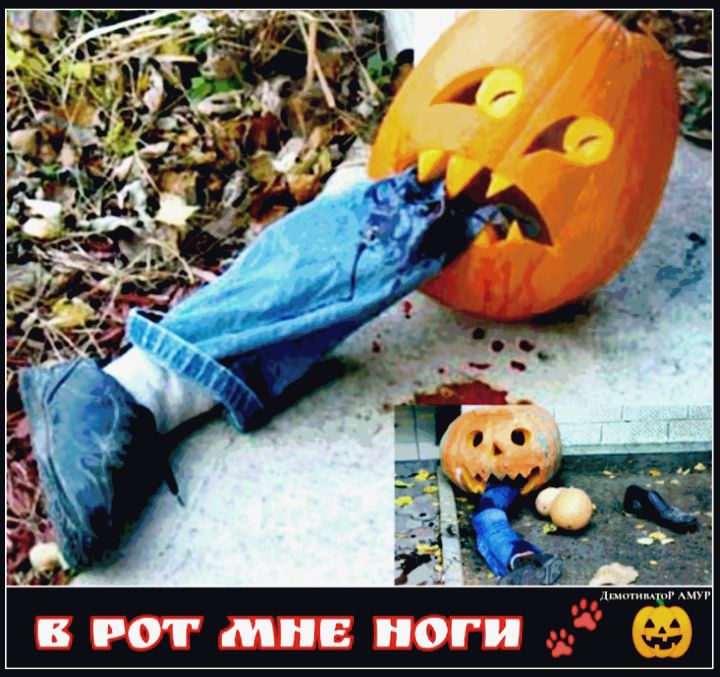 В РОТ МНЕ ОГИ