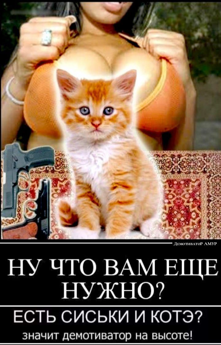НУЖНО ЕСТЬ сиськи и кота ЗНЗЧИТ демотиватор Нд ВЫСОТЕ