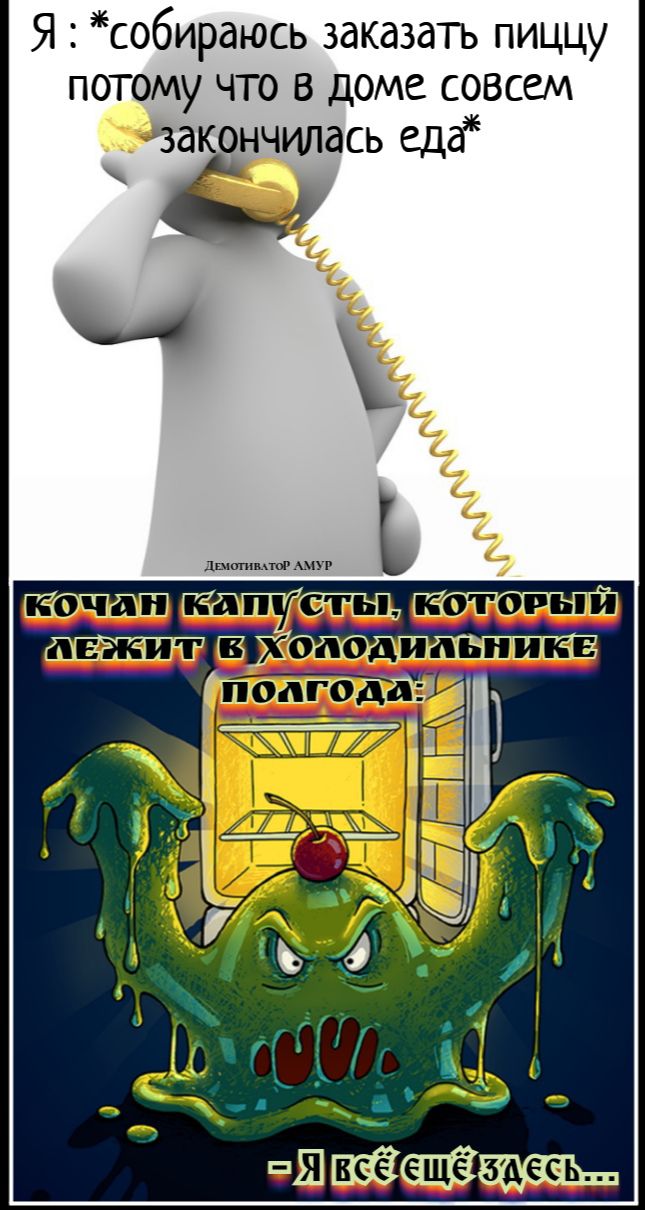 Я собираюсь заказать пиццу потому что в доме совсем закончилась едд