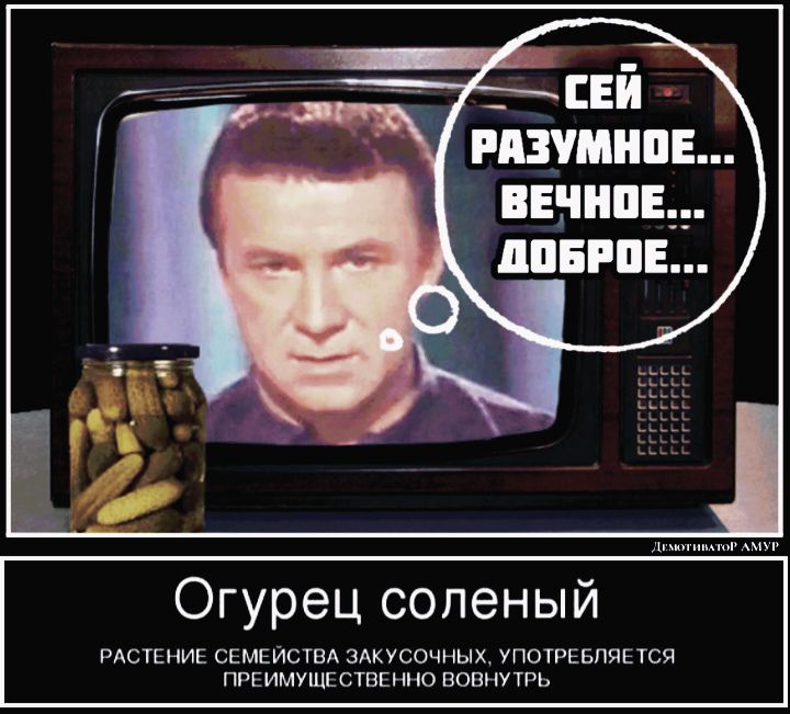 _ сЕй вишни винила дпвгпн г АМХ Огурец соленый РАСТЕНИЕ СЕМЕЙСТВА ЗАКУСОЧНЫХ УПОТРЕБПЯЕТСЧ ПРЕИМУЩЕСТВЕННО ВОВНУТРЬ