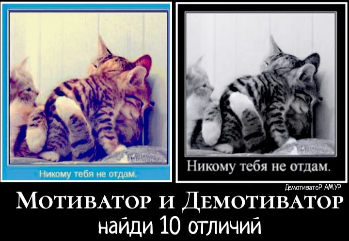 Никому тебя не отдам дмагивпор АМУР МОТИВАТОР и ДЕМОТИВАТОР найди 10 отличий