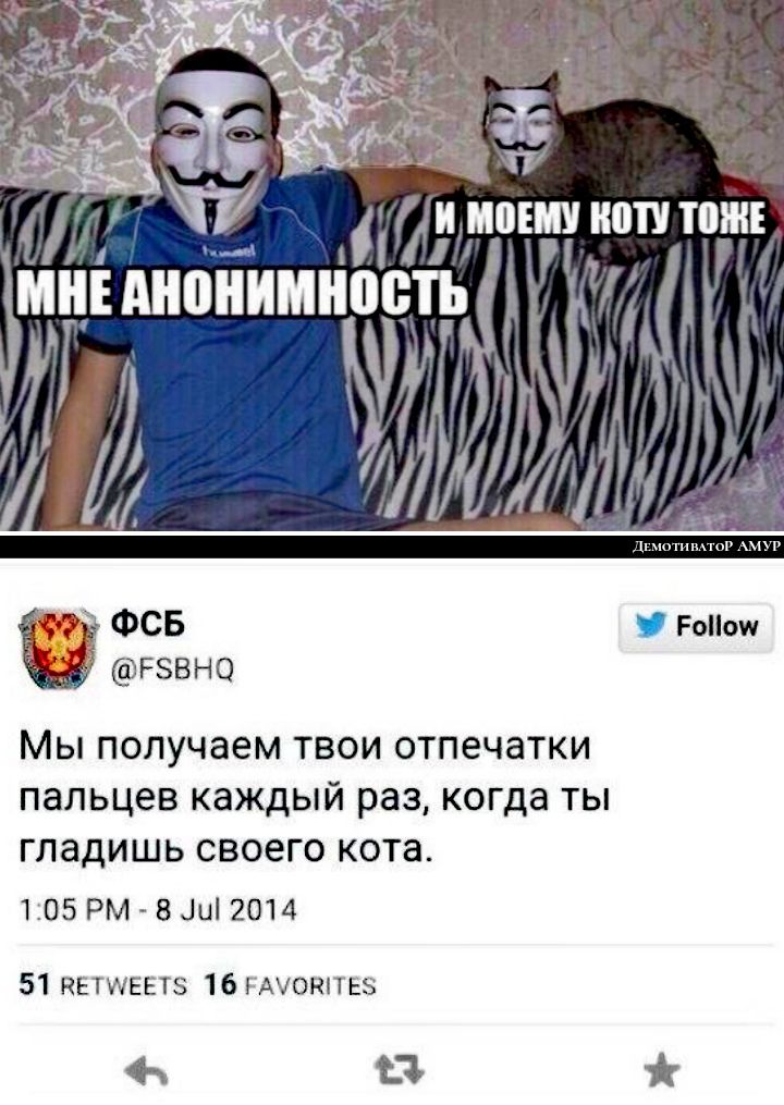 іі ШШШ іііПУ ііііііЕ _ _МііЕ АііііііііМіііііііЪ С ФСБ Роііои РЗВНО Мы получаем твои отпечатки пальцев каждый раз когда ты гладишь своего кота 105 РМ ВАШ 2014 51 пЕтщЕЕтз 16 гмиоштьз СФ