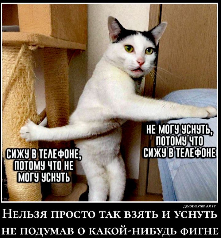 НЕЛЬЗЯ ПРОСТО ТАК ВЗЯТЬ И УСНУТ НЕ ПОДУМАВ О КАКОЙ НИБУДЬ ФИГНЕ