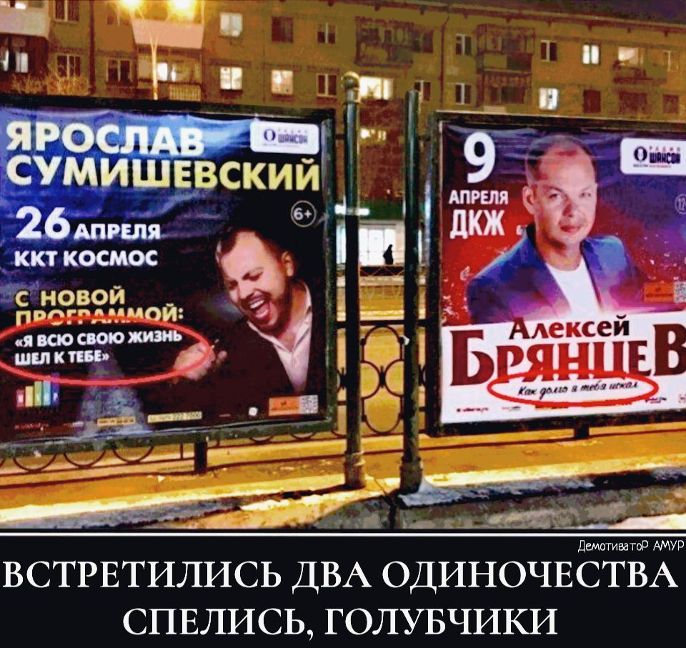 ЛемотиватоР АМУР ВСТРЕТИЛИСЬ ДВА ОДИНОЧЕСТВА СПЕЛИСЬ ГОЛУБЧИКИ
