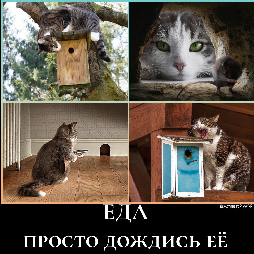Дгмтиватд АМБФ просто ДОЖДИСЬ ЕЁ