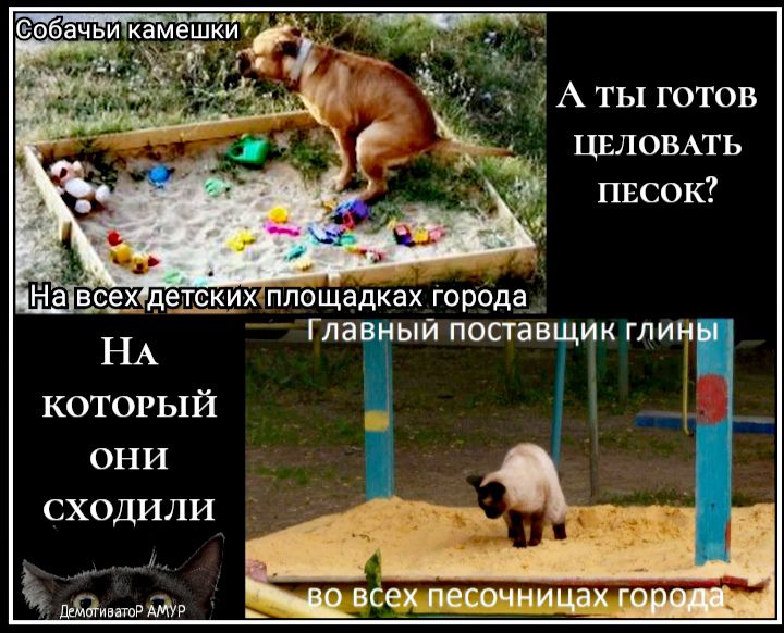А ТЫ готов ЦЕЛОВАТЬ ПЕСОК хппо щадках Города_ Главіый поставщик глин который _ _ они сходили