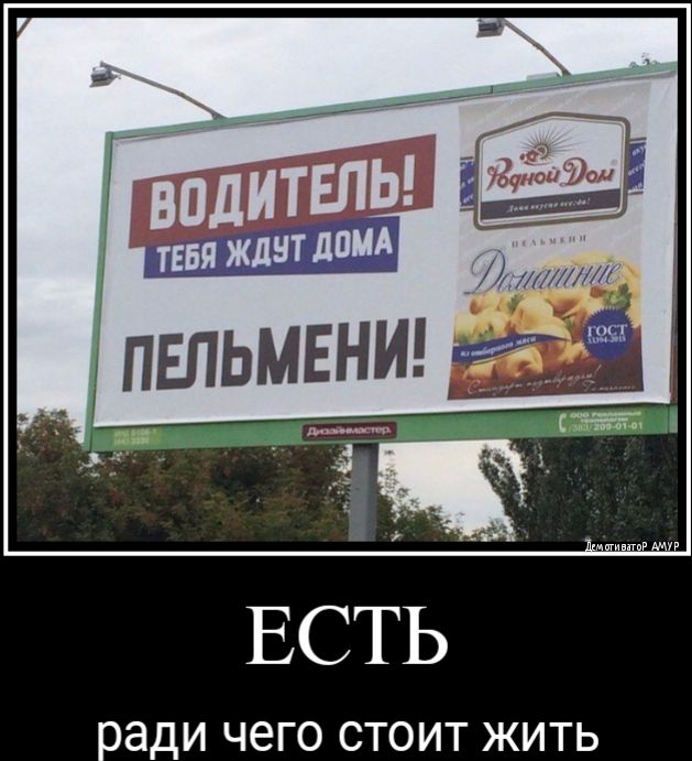 ради чего СТОИТ ЖИТЬ