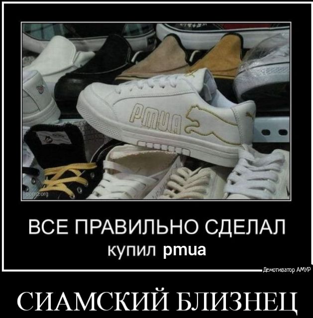 ВСЕ ПРАВИЛЬНО СДЕЛАЛ купил ртиа щ СИАМСКИЙ БЛИЗНЕЦ