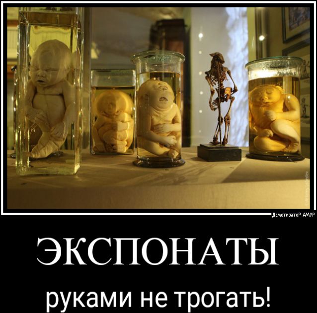 ЭКСПОНАТЫ руками не трогать