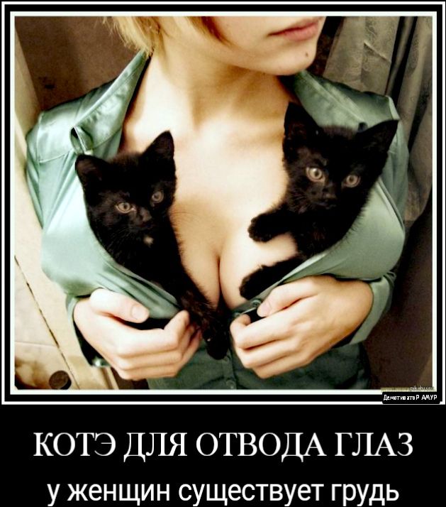 КОТЭ ДЛЯ ОТВОДА ГЛАЗ у женщин существует грудь
