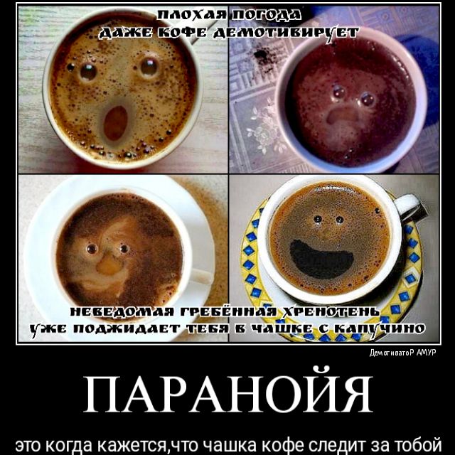 неведомая ГРЕБ индэдхрн ШГ Е уже поджидает тиви чашке кпдчипа шммишпрмтр ПАРАНОЙЯ это когда кажетсячто чашка кофе следит за тобой