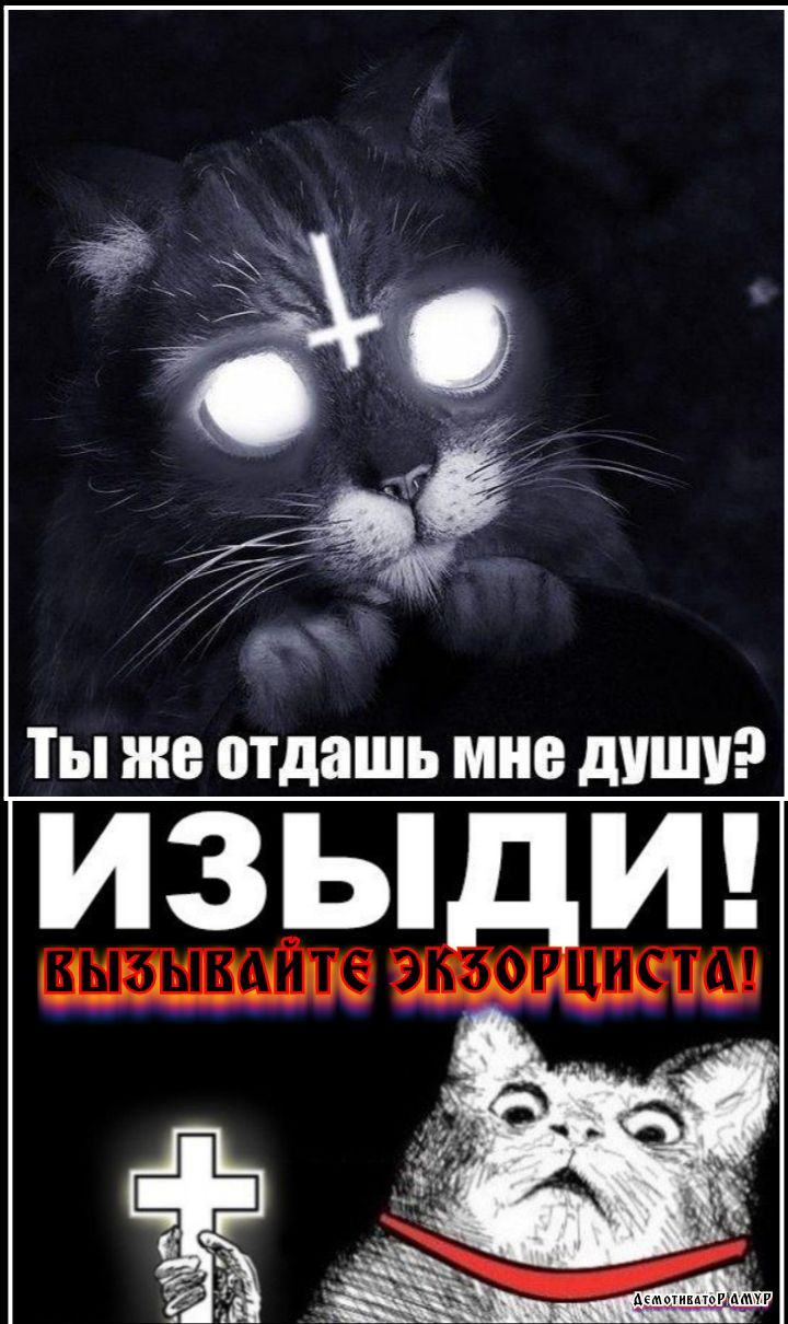 Дйг 1 из ТЫ же отдашь мне дУШУ