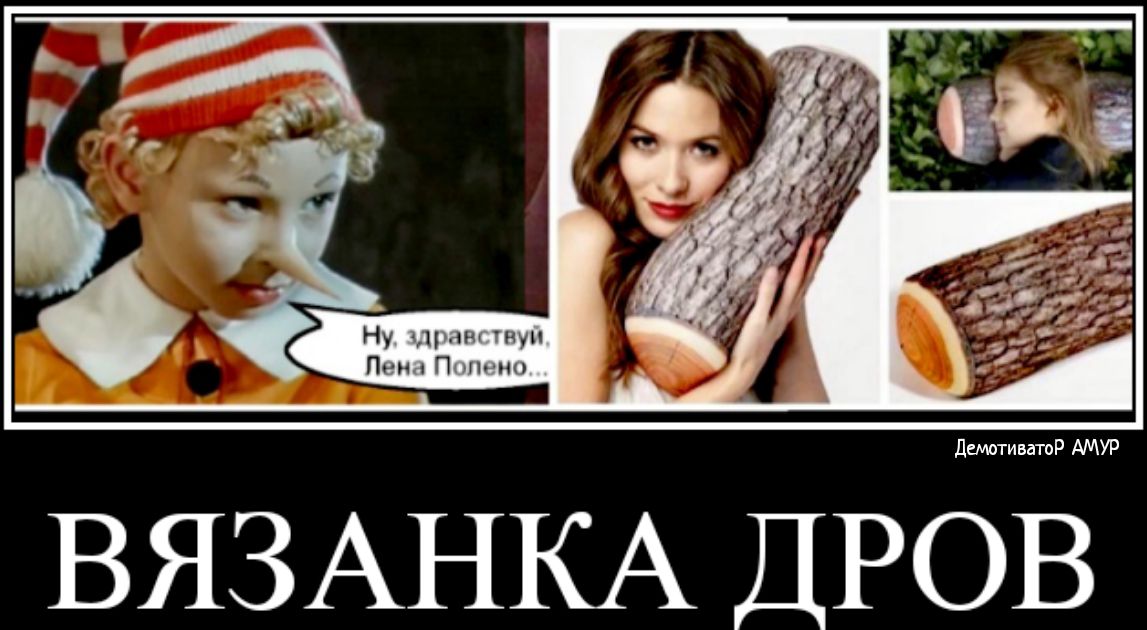 Ну ц ни на Пин П и демотиватоР АМУР ВЯЗАНКА ДРОВ