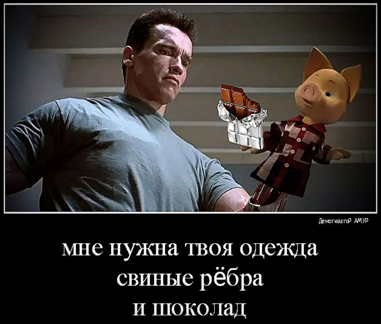 вмигивигф мне нужна твоя одежда свиные рёбра И шоколад