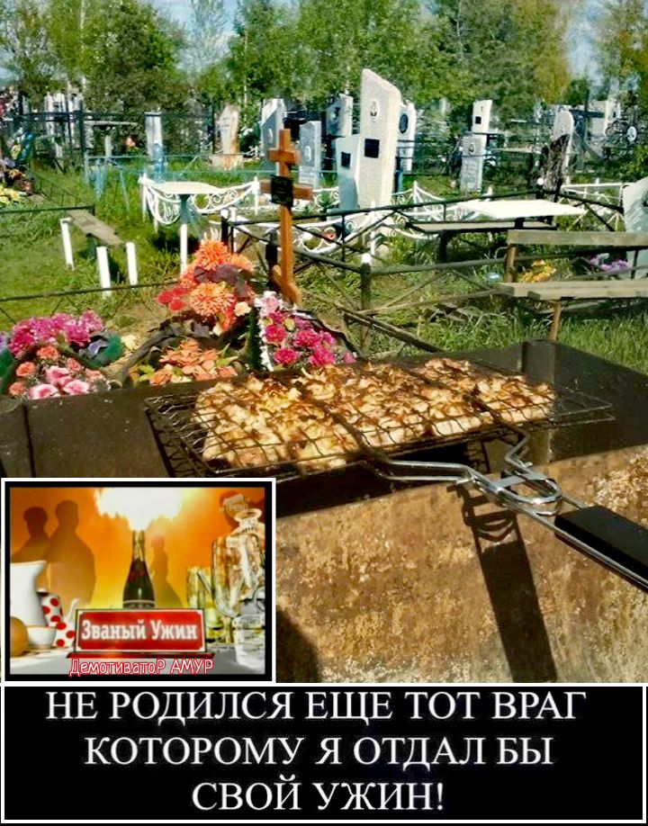 НЕ РОДЙЛСЯ ЕЩЕ тот ВРАГ которому я ОТДАЛ БЫ свой УЖИН