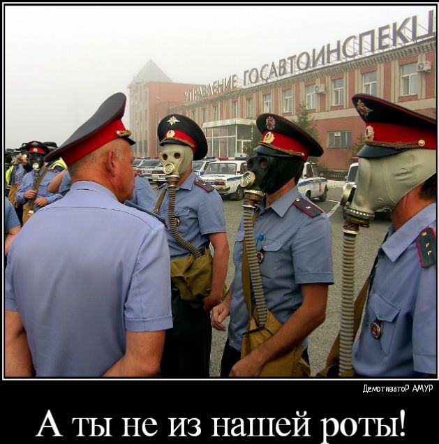 Лгивдтв АМУР А ТЫ не ИЗ нашей роты