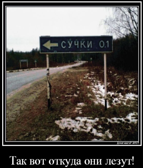 Так вот откуда ОНИ лезут