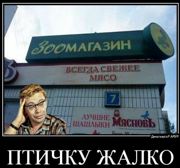 Ы Тт ПТИЧКУ ЖАЛКО