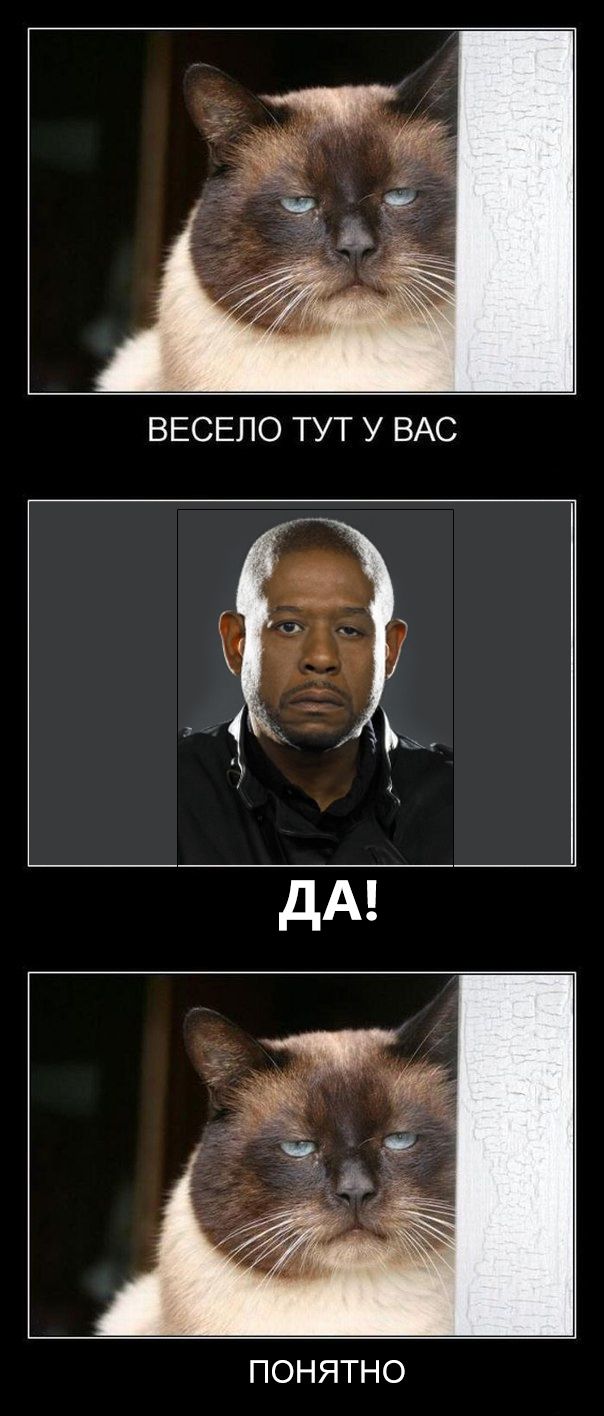 ПОНЯТНО