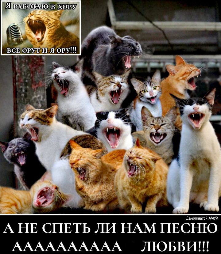 дмититд А НЕ СПЕТЬ ЛИ НАМ ПЕСНЮ ЛЮБВИ