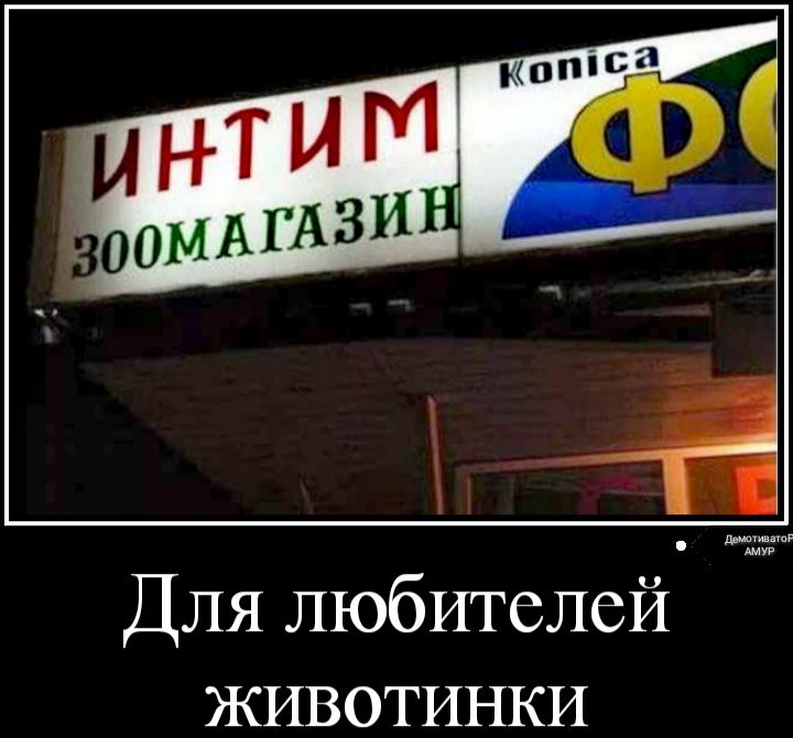 Для любителей ЖИВОТИНКИ
