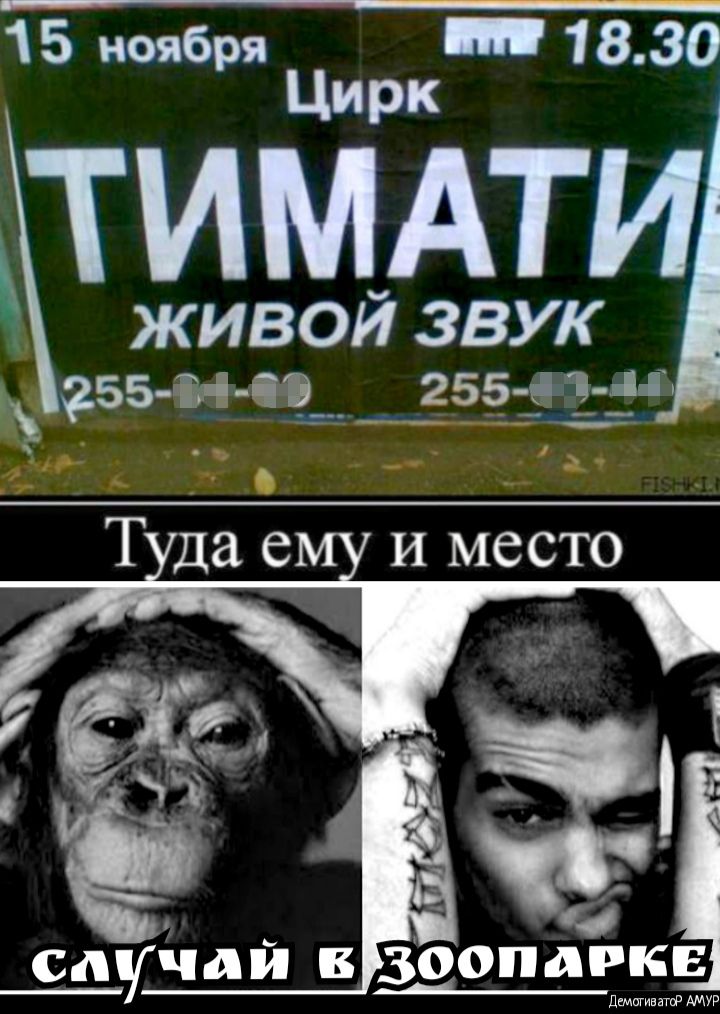 Цирк ТИМАТИ ЖИВОЙ ЗВУК Млн __2_55_ е мд _ _ ыЪ __ 2 Т да е И место ё _А