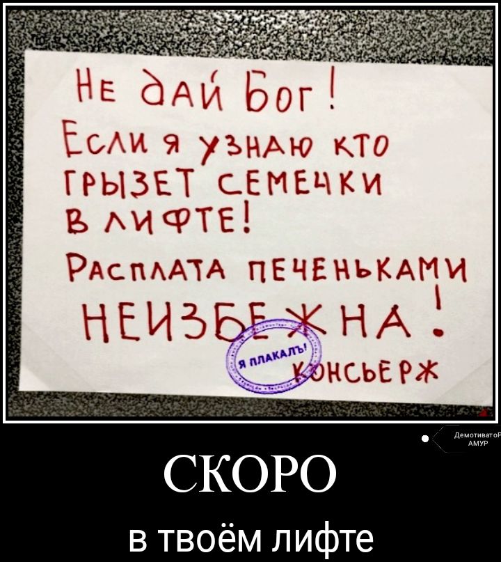 Б ль 301119 гъихю шато ГРЫБЕТ СЕМЕЧКИ Р ФТЕ РАСМАТА ПЕЧЕНЬКАМИ НЕИЪЬЁЁЖНАЁ я дм 51 НСЬЕ СКОРО в твоём лифте