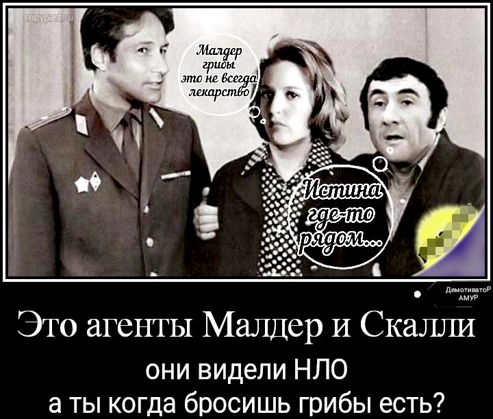 Щллдвр 17171 _ эти не Бес 1 или Это агенты Малдер И Скалли они видели НЛО а ты когда бросишь грибы есть