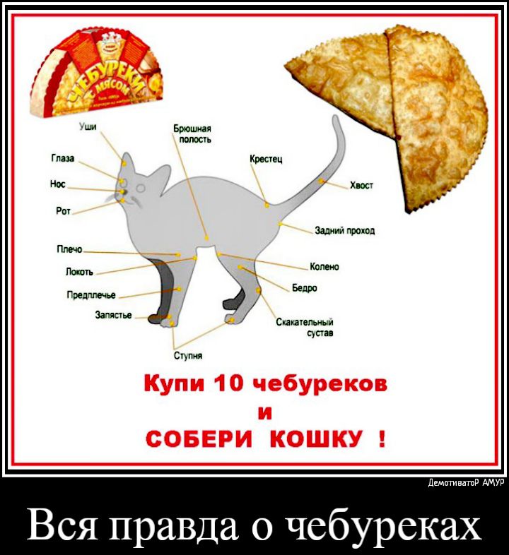 Купи 10 чебуреков и СОБЕРИ КОШКУ дшптивтв Вся правда о чебуреках
