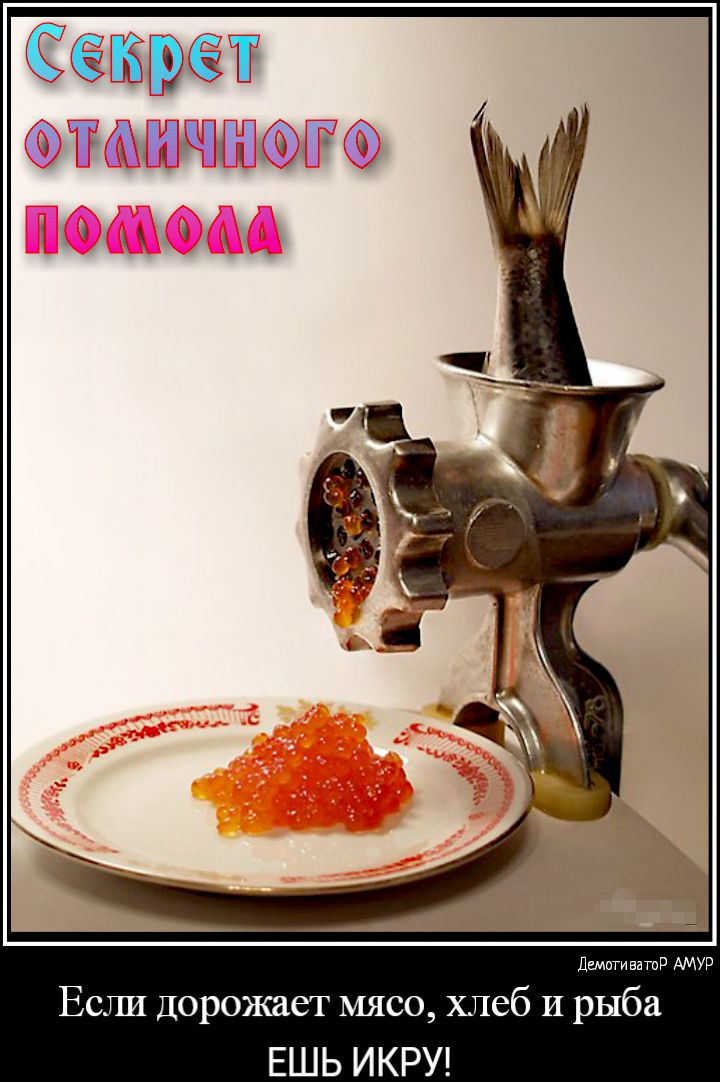 Патти затор АМУР Если дорожает мясо хлеб И рыба ЕШЬ ИКРУ