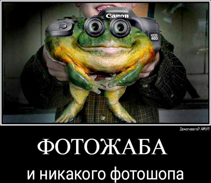 315 1 ФОТОЖАБА и никакого фотошопа РРРРРРРРР