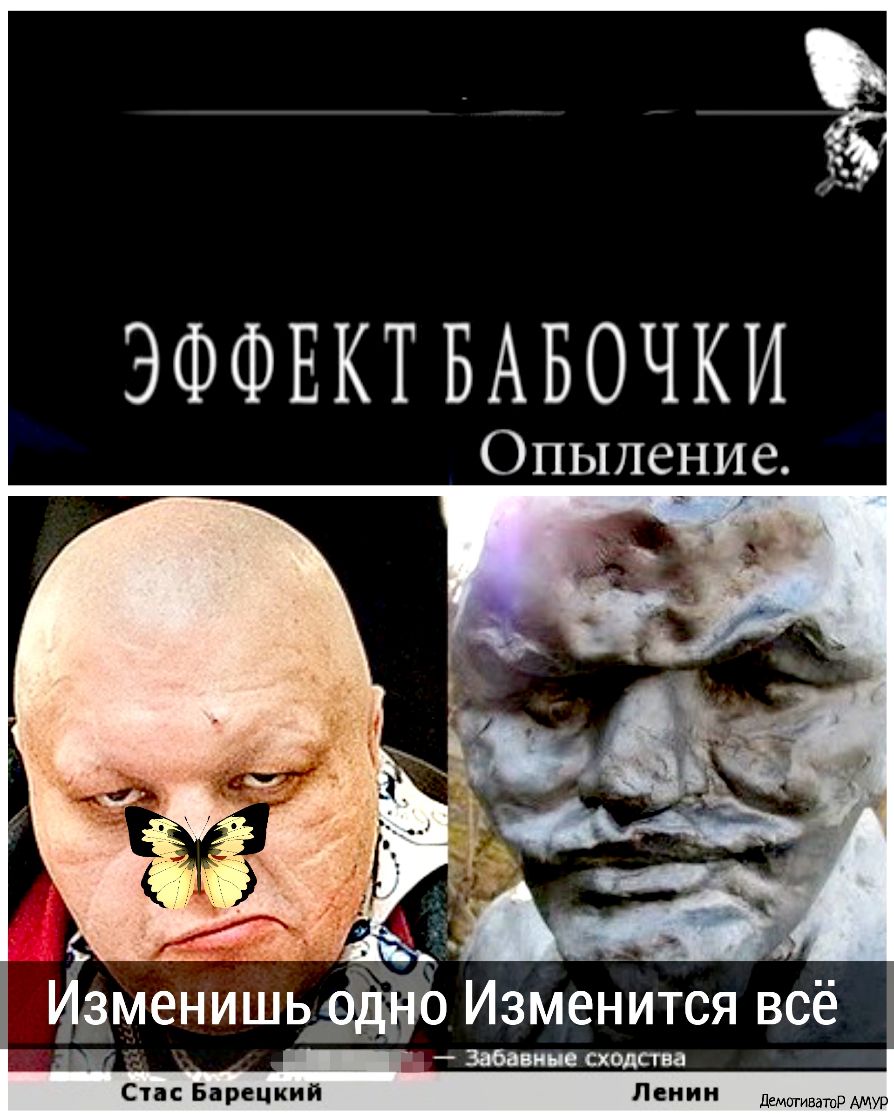 ЭФФЕКТБАБОЧКИ Опыление